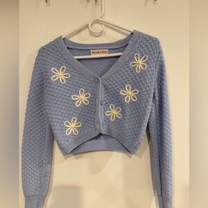 Willow & Wind Light Blue V-Neck Sweater